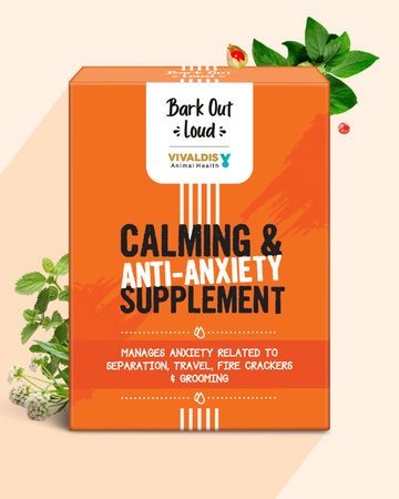 Calming & Anti-Anxiety Supplements for Cats & Dogs (5 sachets)